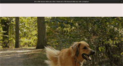 Desktop Screenshot of bostonfetch.com